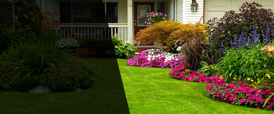 Bell Gardens Landscapers