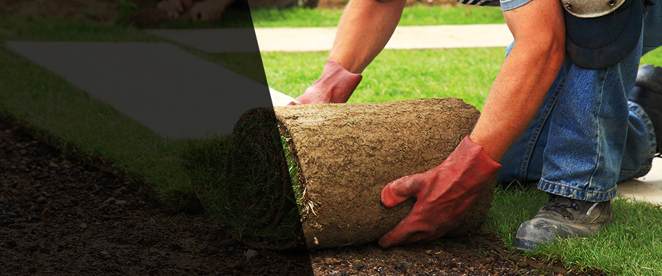 Bell Gardens Landscapers